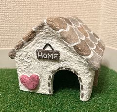 爬虫類　シェルター　海