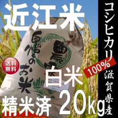 【令和5年産新米】近江米 滋賀県産 コシヒカリ100% 白米20kg 産地直送