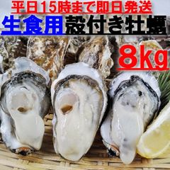 生食用 殻付き 牡蠣 ８ｋｇ（56~120粒）牡蠣 殻付き 牡蛎牡蠣 殻付 宮城県 生食用牡蠣 牡蠣生食用 カキ 牡蛎 BBQ お花見 父の日 母の日 御歳暮 お中元 お歳暮 贈答品 kaki 松島牡蠣屋 漁師直送 かき バーベキュー 海産物 海鮮 貝類