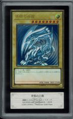 ARS10 エリカのフシギバナ フシギバナ 旧裏 旧裏面 ジム拡張第2