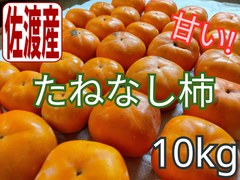 佐渡産　たねなし柿　10kg（箱込み） 訳あり