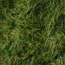 達人芝 ブレンド 4mm 【KATO・24-439】 「鉄道模型 Nゲージ カトー」