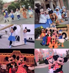 【中古】クリアファイル 集合(実写) A4クリアホルダーセット(6枚) 「ディズニー」 東京ディズニーシー限定