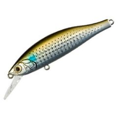 ライザージャック　池原スペシャル【未開封】 楽天市場】Fish Arrow×DRT フィッシュアロー×DRT/RISER JACK