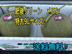 秀品　肥後グリーン　メロン　9Lサイズ×2個セット