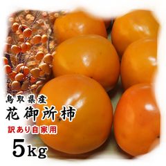 ☆11月中下旬～入荷次第購入順に発送鳥取県産花御所柿(はなごしょ)5kg(20-40玉程度)訳ありへたすきカキかき