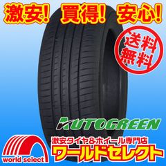 2本セット 195/65R15 91V AUTOGREEN オートグリーン Smart Chaser SC1 サマータイヤ 夏 新品 195/65/15 195/65-15 195 65 15