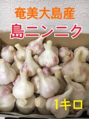 奄美大島産　無農薬　島ニンニク
