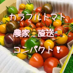 カラフルトマト🍅(トマトの宝石箱!)全12種！1キロ！！栃木県宇都宮市！農家👩‍🌾直送🚚！コンパクト！常温配送！