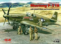 2024年最新】P-51 Mustangの人気アイテム - メルカリ