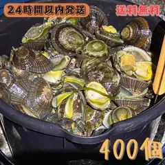 2025年最新】石鯛 餌の人気アイテム - メルカリ