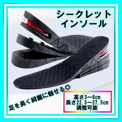 シークレットインソール 黒 6cm 中敷き エアインソール メッシュ インヒール