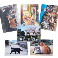 午前中までの特別価格❗️A4大作品✨手作り額付き作品　title「創造ニャンコ」 𓐄𓐄𓐄𓐄𓐄𓐄𓐄𓐄𓐄𓐄𓐄𓐄𓐄𓐄𓐄𓐄𓐄𓐄𓐄𓐄𓐄𓐄𓐄𓐄𓐄𓐄𓐄 𓈄