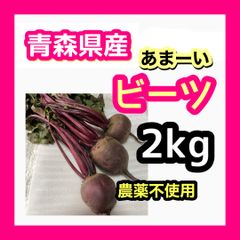 無農薬　ビーツ　青森県産　2kg 農家直送　L からSサイズ詰め合わせのサムネイル
