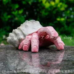 2026年最新】ヤドカリ置物の人気アイテム - メルカリ