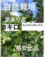 2025年最新】無農薬 かぼすの人気アイテム - メルカリ 