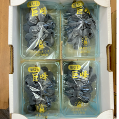 国産 九州産 ぶどう 巨峰 4パック 箱込み 約1200g  特A優品【002】クール冷蔵 フルーツ ギフト プレゼント用  果物  熊本 福岡 葡萄 ブドウ 予約販売 ７月下旬以降