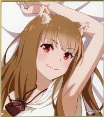 ファイアーエムブレム サイファ 光亡き荒野の王女 カムイ(女) lead-netstore_fb15b121812tt053