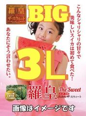 ３L・BIG「羅皇ザ・スイート」シャリ度NO1の農林水産大臣賞受賞