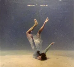 CD Young Galaxy Shapeshifting  STS205CD Smalltown Supersound レンタル落ち /00110