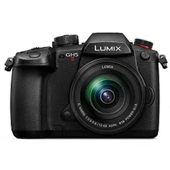 ［最終値下げ］Panasonic LUMIX DC-GH5M V-Log拡張済 Panasonic DC−GH5 Lumix 【V-Log アップデート済み】