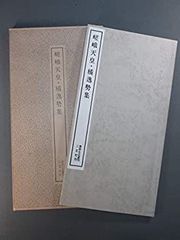水穂会 日比野五鳳 自撰集 昭和57年刊行 大塚巧藝社 - メルカリ