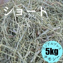 2025年 千葉県産 乾燥 イタリアンライグラス 400g × 2袋 2025年 千葉県産 乾燥 イタリアンライグラス 400g - メルカリ