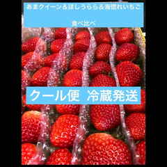 いちご イチゴ 苺 あまクイーン ほしうらら 海惚れ 食べ比べ 減農薬 新鮮